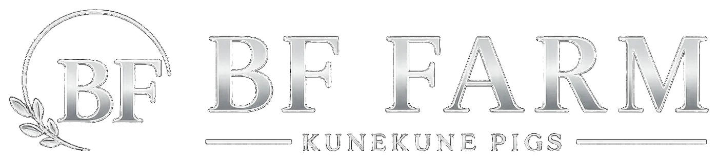 BF Farm Kunekune Pigs
